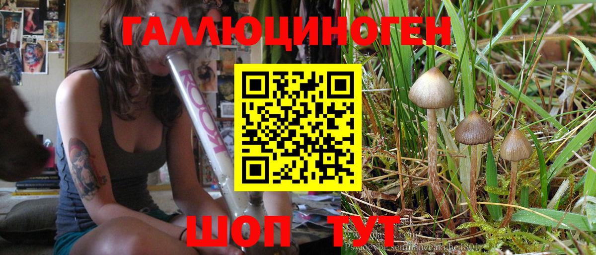 Галлюциногенные грибы MAGIC MUSHROOMS  Галлюциногенные грибы Psilocybine cubensis  Усинск  цена   Вход с VPN 